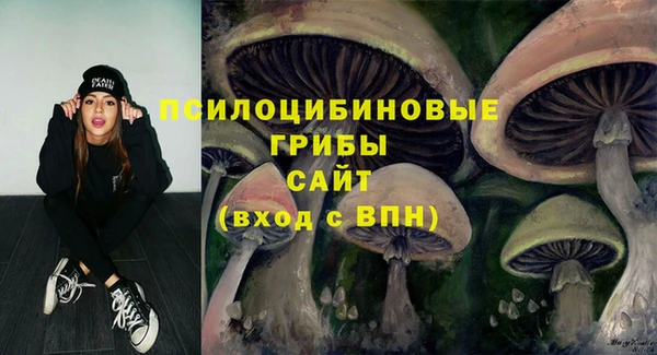 соль ск Карталы