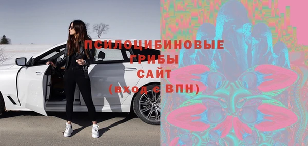 соль ск Карталы