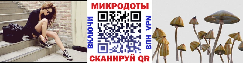 Галлюциногенные грибы прущие грибы  Купить  Дивногорск 